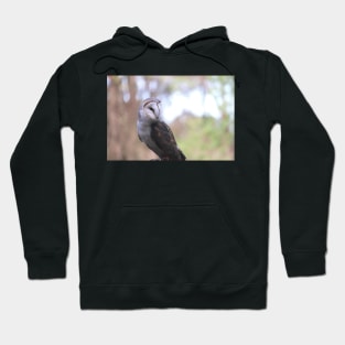 Barn Owl Hoodie